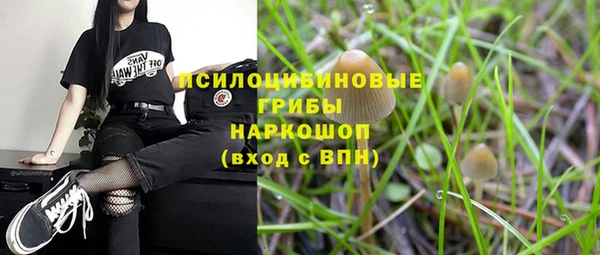 дмт Алзамай
