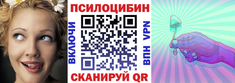 хочу наркоту  Южно-Сухокумск  Псилоцибиновые грибы Cubensis 